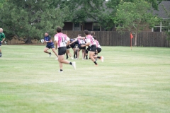 Flamingos-Misfits-1-of-8