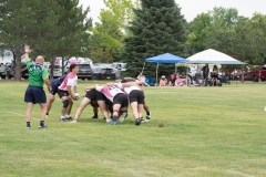 Flamingos-Misfits-7-of-8