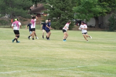 Flamingos-Misfits-8-of-8